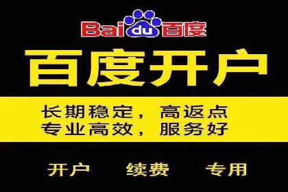 百度竞价排名策略优化：某公司广告投放效果翻倍的秘诀